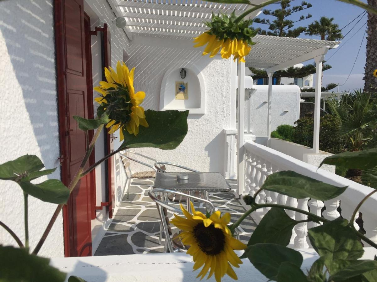 Diogenis Village Mykonos